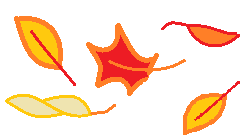 autumn leaves image